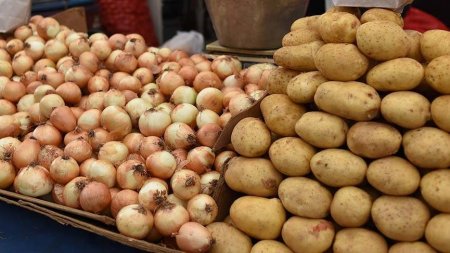 Kartof, soğan, kələm ucuzlaşıb - NAZİRLİK