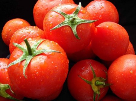 Azərbaycan Rusiya bazarına pomidor ixracını artırıb