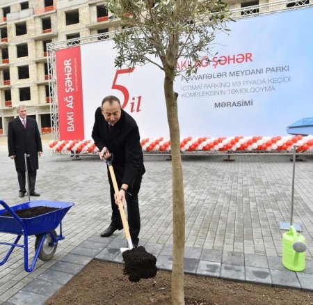 Prezident və xanımı ağac əkdilər - fotolar