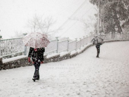 Bir nəfər qarın altında qalıb öldü, 9 nəfər itkin düşdü