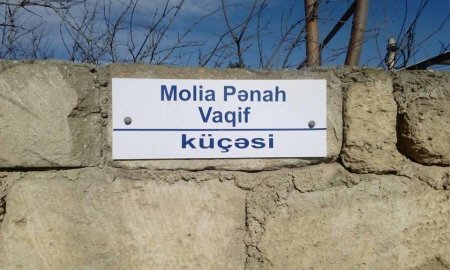 Fatmayıda Vaqif küçəsi: “Molla” əvəzinə “Molia”...