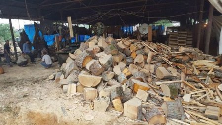 Meşə materialı və kömürü qanunsuz daşıyan şəxslər cərimələnib