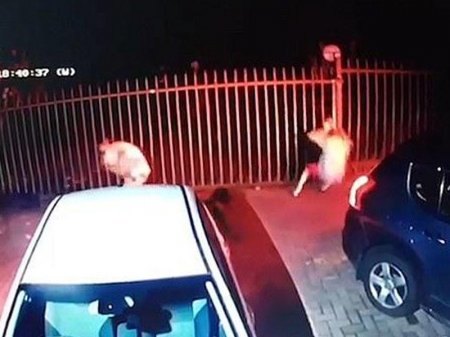 Qadının ərini həyətində, gözü qarşısında öldürdülər