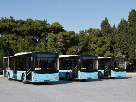 Sumqayıtda 200-dən çox yeni avtobus xəttə buraxılıb