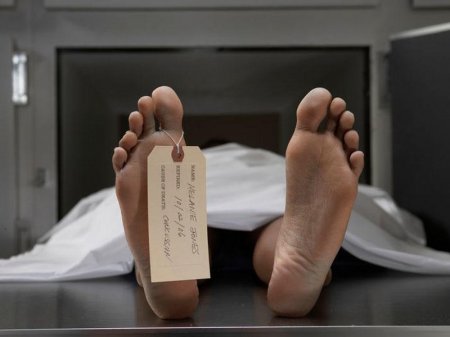 Təzə aldığı mənzilə köçən kişi dəhşətə gəldi