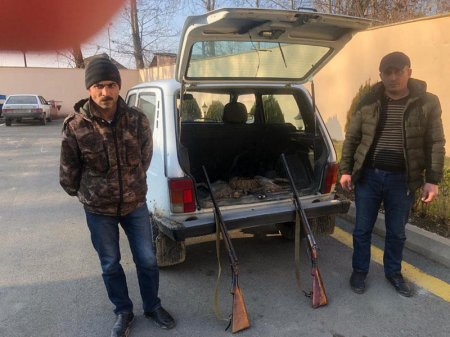 Qanunsuz ov edənlər saxlanıldılar, iş məhkəməyə göndərildi - FOTO