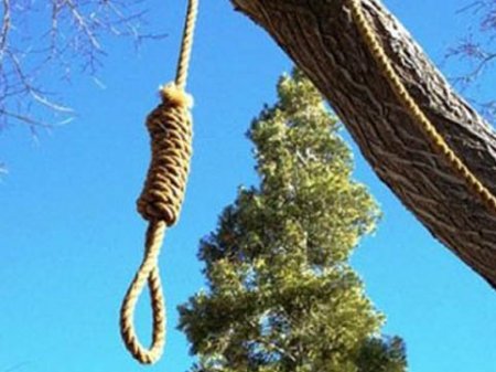 16 yaşlı oğlan özünü qonşunun bağında öldürdü