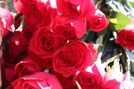 8 Mart bayramının ləğv olunması təklif edilib