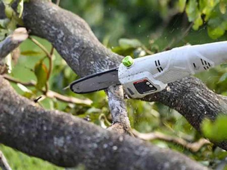 21 yaşlı qız pul almaq üçün qolunu kəsdirdi