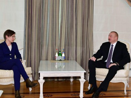 Prezident İlham Əliyev BMT İnkişaf Proqramının rəhbərinin müavinini qəbul edib - FOTO
