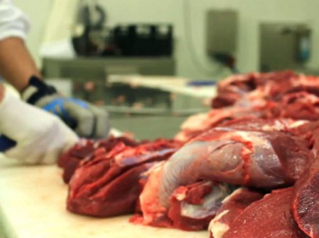 Yararsız heyvan cəmdəklərinin satışına görə 8 nəfər həbs edilib