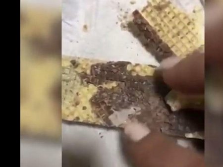 Bakıda vaflinin içindən rezin əlcək çıxdı