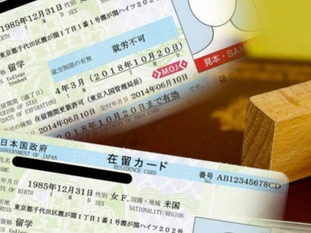 Yaponiyada rekord miqdarda saxta rezident kartı qeydə alınıb