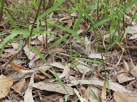 Bu fotodakı ilanı görürsünüz? - FOTO