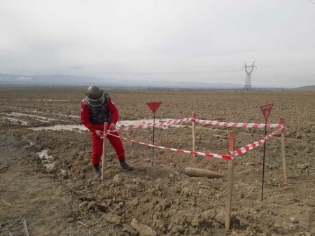 Əkin sahəsindən top mərmisi tapıldı - FOTO