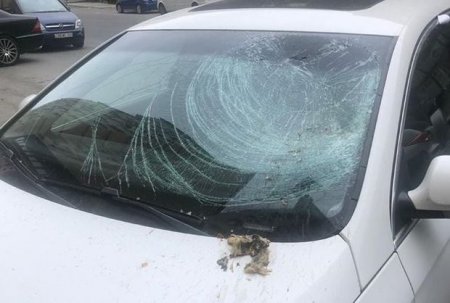 Binadan atılan zibil maşını bu hala saldı - FOTO