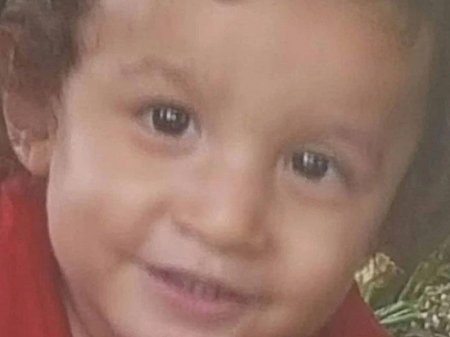 Rotveyler iki yaşlı oğlanı parçalayıb, öldürdü