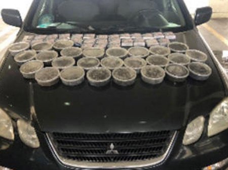 Rusiyadan Azərbaycana qanunsuz kürü keçirilməsinin qarşısı alındı