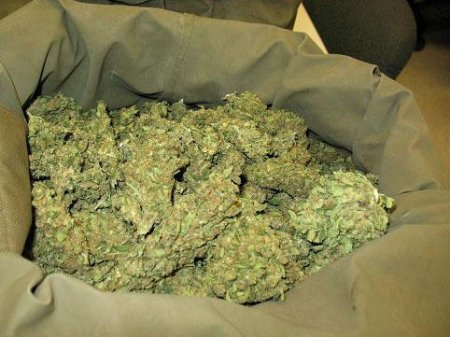 11 kilodan çox marixuana ilə tutuldu...