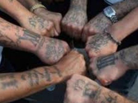 Azərbaycanlı avtoritetlərə ŞOK: Daxili İşlər Nazirliyi HƏRƏKƏTƏ KEÇDİ