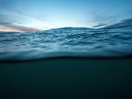 Elmə məlum olmayan məxluq tapıldı