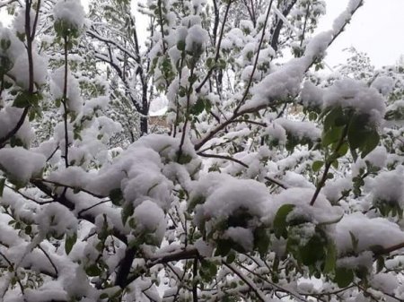 Azərbaycana qar yağır