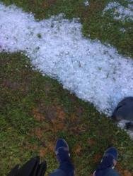 Şəkiyə dolu düşdü - FOTO