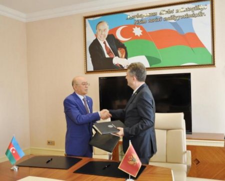 Kəmaləddin Heydərov Monteneqronun daxili işlər naziri ilə görüşüb