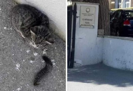 Bakıda məktəb yaxınlığında vəhşilik