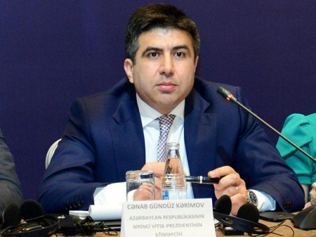 "Məhkəmə-hüquq sistemində islahatların dərinləşdirilməsi haqqında fərman sahibkarlığın inkişafına və investisiyaların təşviqinə yönəlib"-Birinci vitse-prezidentin köməkçisi