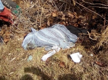 Meksikada bələdiyyə başçısi öldürülüb