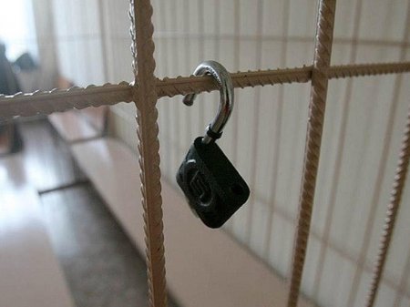 Bakıda ər-arvadı qətlə yetirən bağban meyitləri avtomobilin yük yerində gizlədib