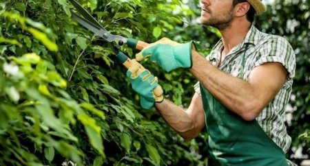 Tanınmış həkimi və arvadını öldürən bağbana cəza verildi