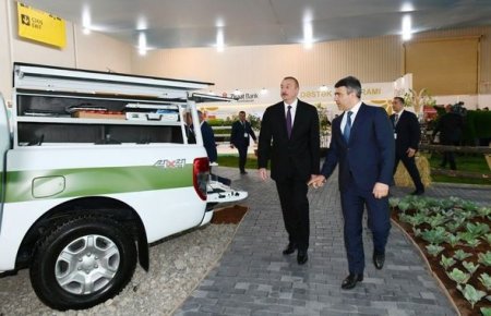 İlham Əliyev Bakıda iki sərgi ilə tanış olub - YENİLƏNİB + FOTO