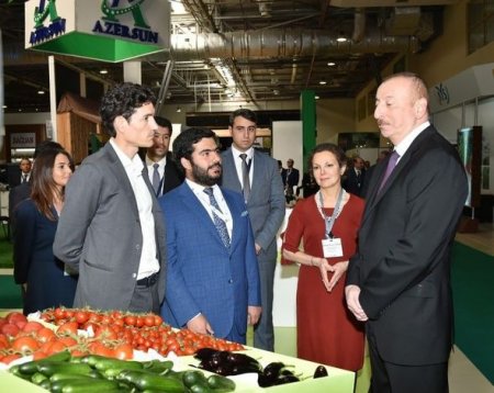 İlham Əliyev Bakıda iki sərgi ilə tanış olub - YENİLƏNİB + FOTO