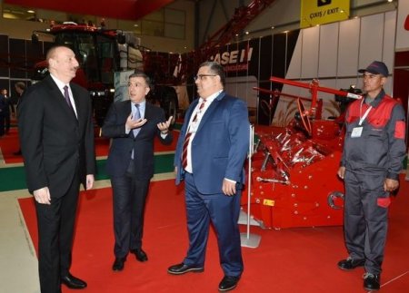 İlham Əliyev Bakıda iki sərgi ilə tanış olub - YENİLƏNİB + FOTO