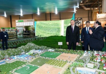 İlham Əliyev Bakıda iki sərgi ilə tanış olub - YENİLƏNİB + FOTO