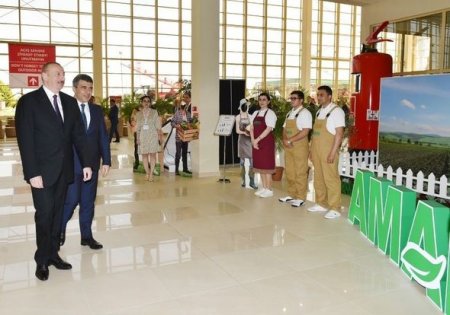 İlham Əliyev Bakıda iki sərgi ilə tanış olub - YENİLƏNİB + FOTO
